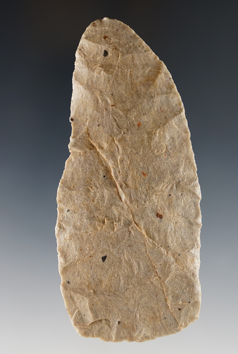 4" thin and well flaked Paleo Knife recovered in Colorado.