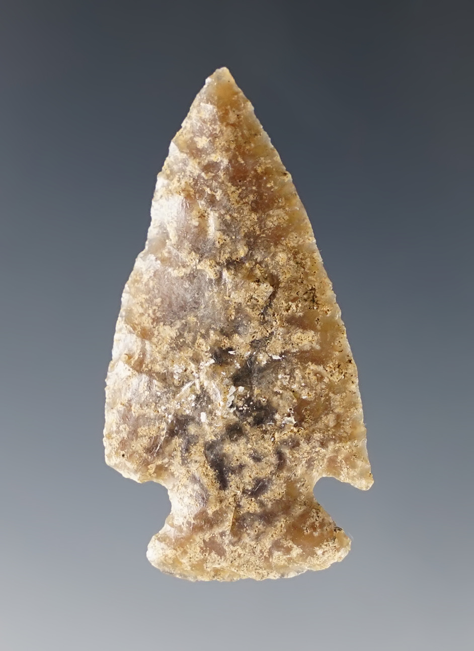 1 5/8" Pelican Lake made from nicely colored Oolithic Chert. Found in the Wyoming/Colorado.