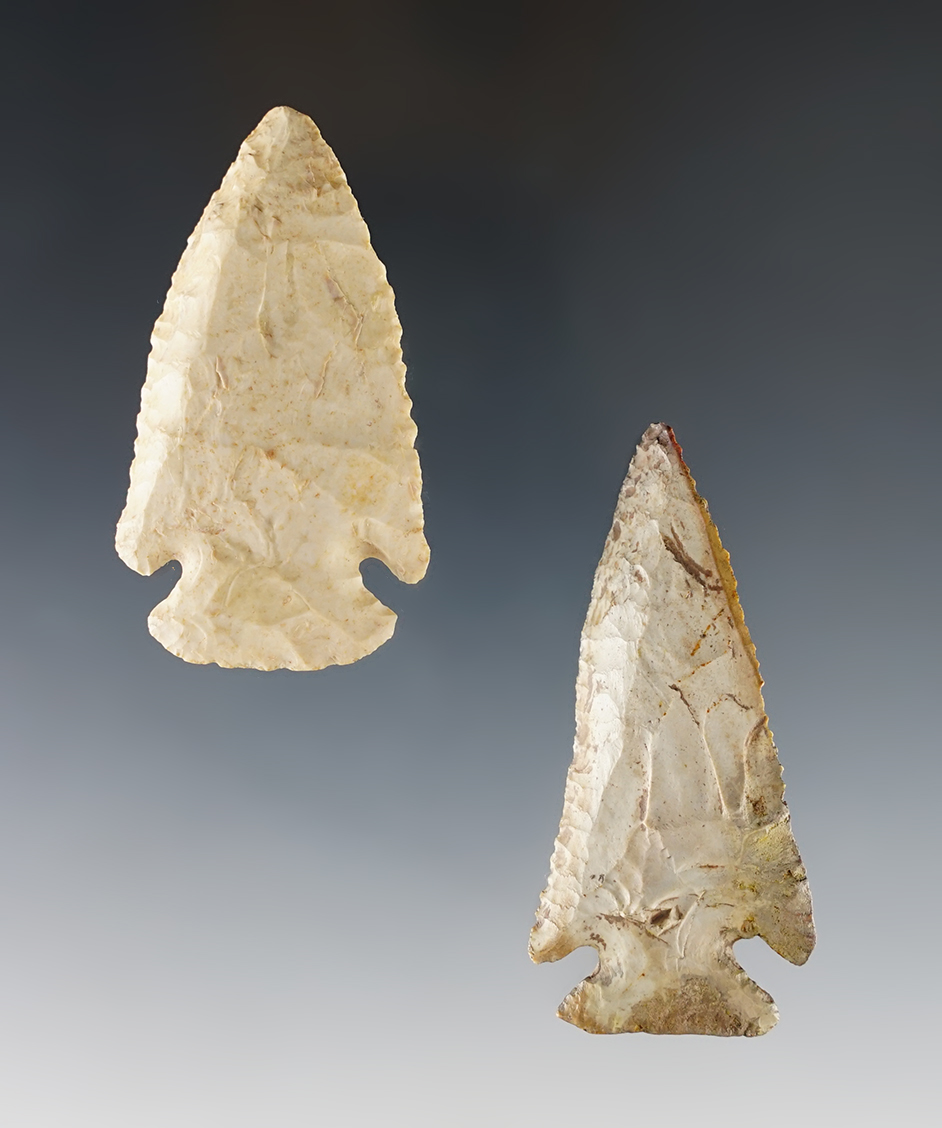 Pair of Kentucky points. One is restored. The other is a nice Dovetail. The largest is 2 7/16".