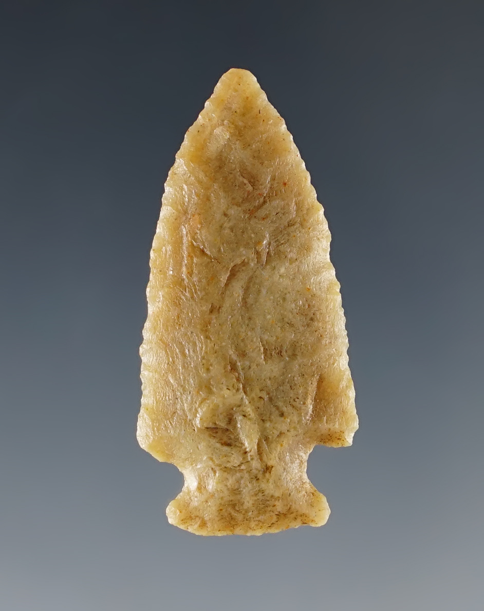 1 1/2" Colorado Cornernotch Dart point in nice condition.