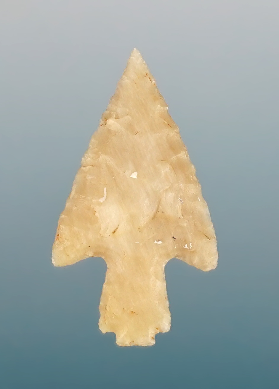 Uniquely styled Exotic Arrow Point found in Colorado. Nicely made from Silicified Wood. COA.