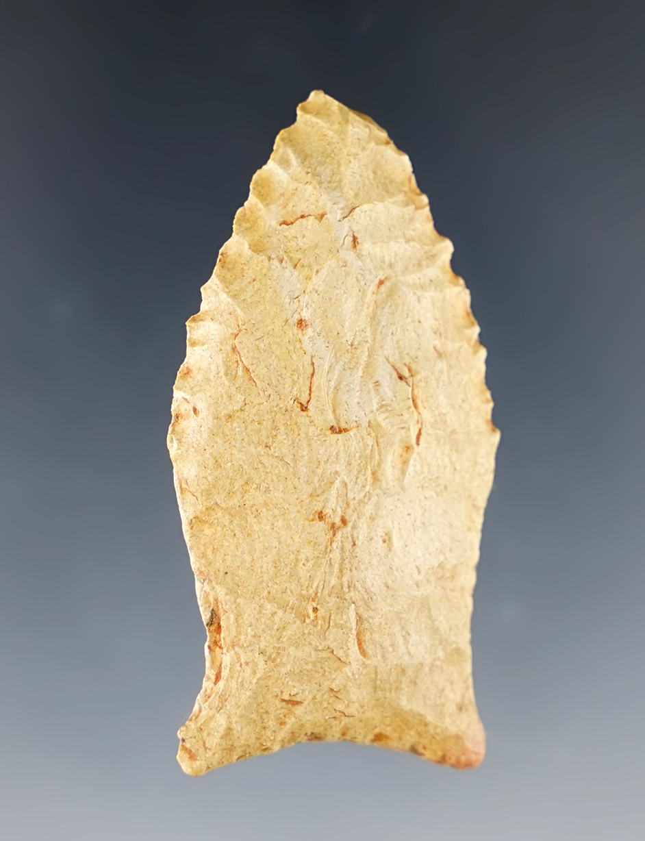 2" Paleo Beaver Lake that is heavily patinated with great mineral deposits on surface. Kentucky.  