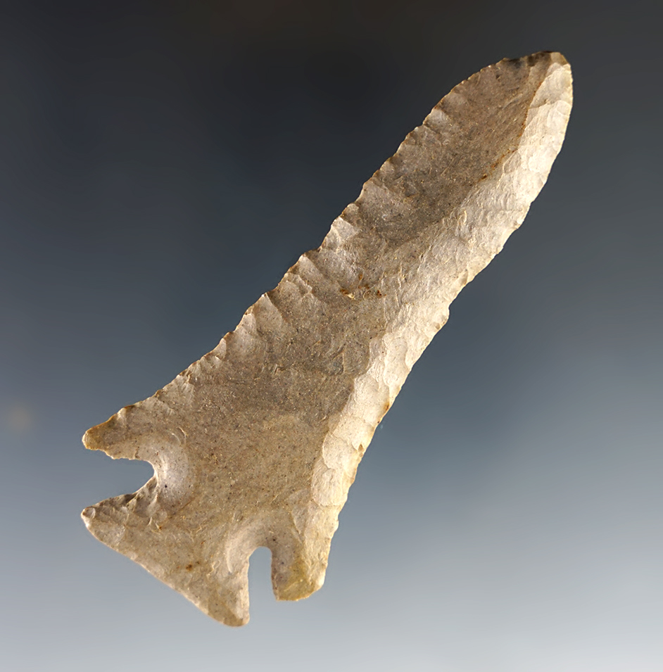 5 3/8" Pine Tree found in Kentucky that is well flaked and nicely styled. 