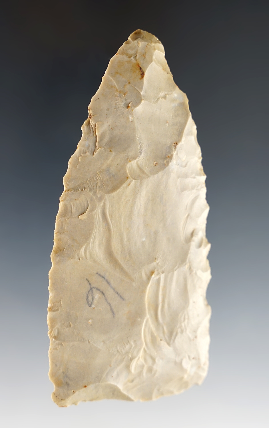 3 7/16" Blade found by Joseph Dillion in Calloway Co., Kentucky.