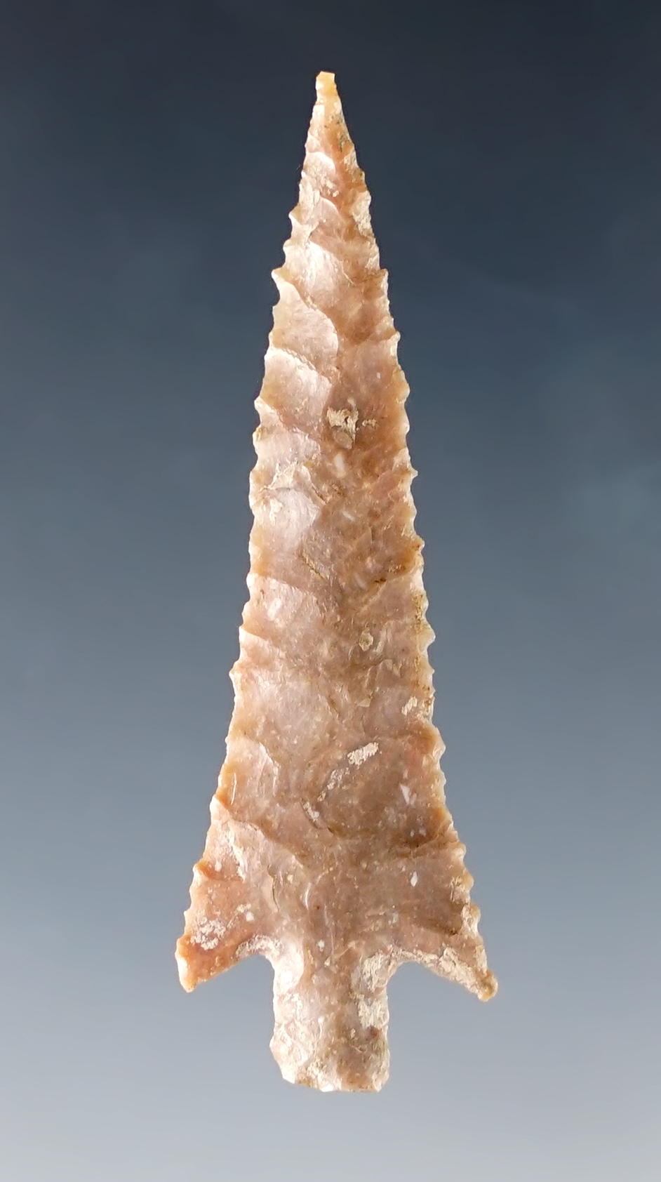 1 7/8" Bonham with incredibly fine serrations. Northcentral Texas. Comes with a Stermer COA.