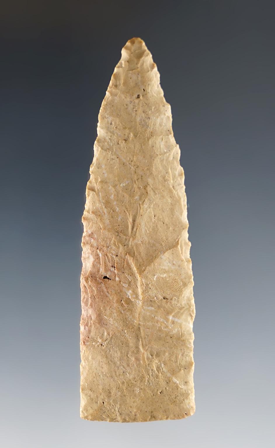 2 15/16" Copena found in Tennessee. Nice grinding to the basal area.