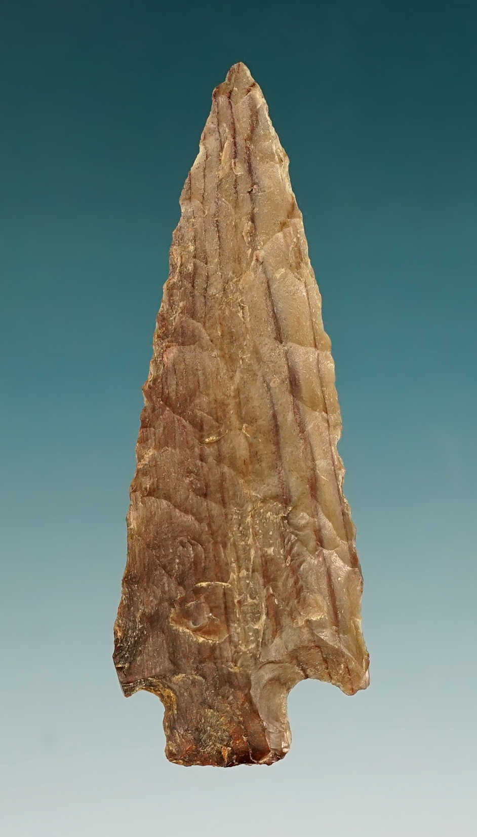 2 1/4" Snake River Corner-Notched made from Silicified Wood. - Washington/Oregon. COA. 