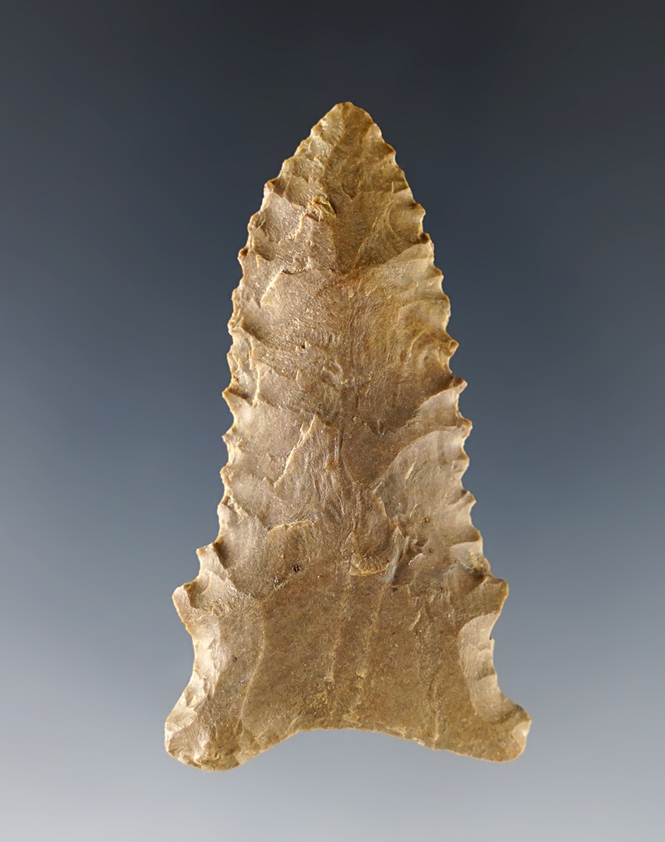 2 3/16" Greenbrier point that is nicely serrated. Found in Tennessee.