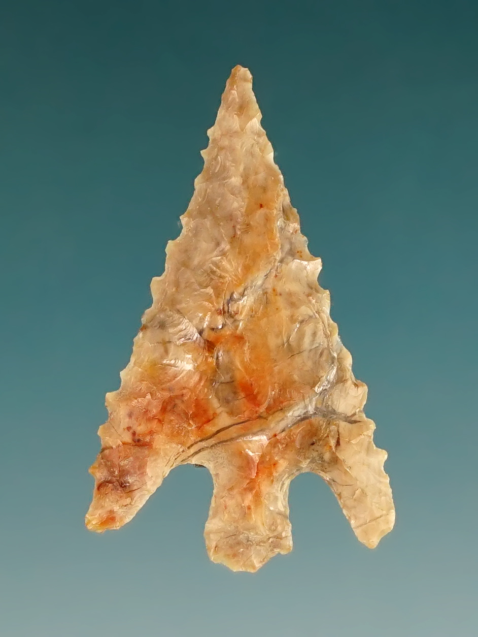 Excellent 1 1/8" Columbia Plateau - Washington/Oregon. Comes with a Stermer COA. 