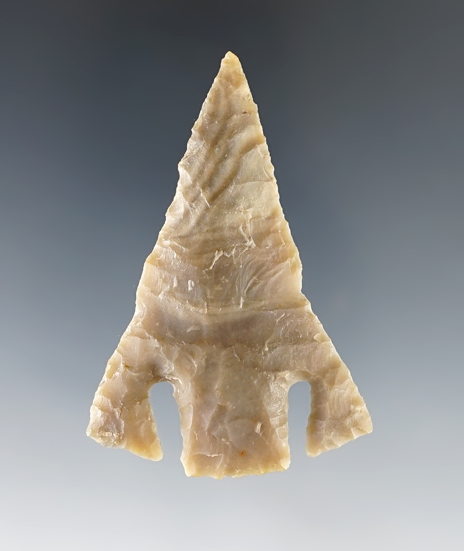 2 1/2" Andice found in Kerr Co., Texas. Professionally restored by Dr. Gomer. Rogers COA.