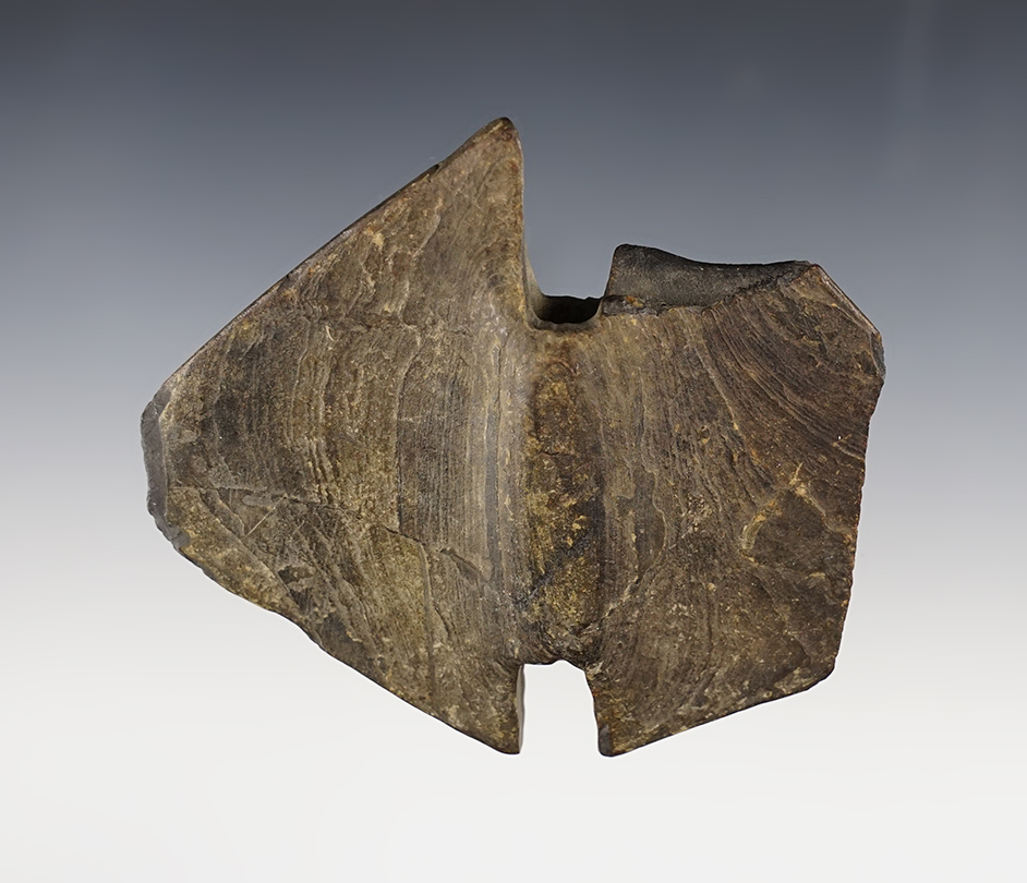 3 5/8" wide Double Notched Wing Bannerstone found in Erie Co., Ohio. Some damage.