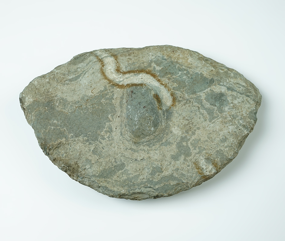 7 1/4" wide Ohio Wing Bannerstone Preform that is well patinated.