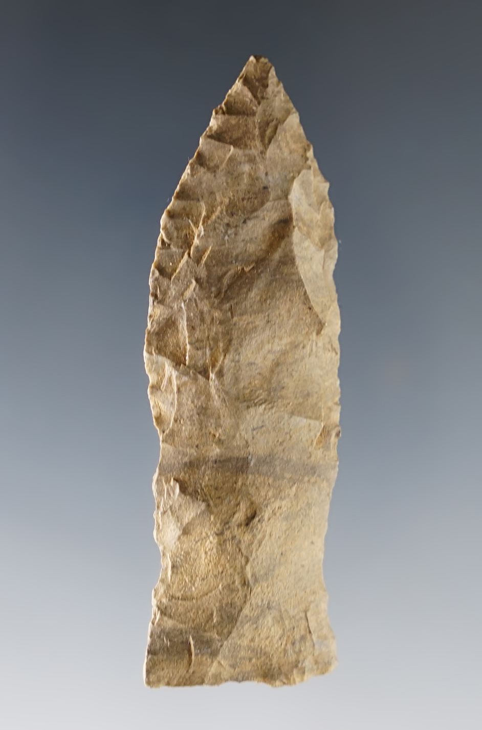 2 9/16" Copena Classic that is well patinated. Found in Kentucky.