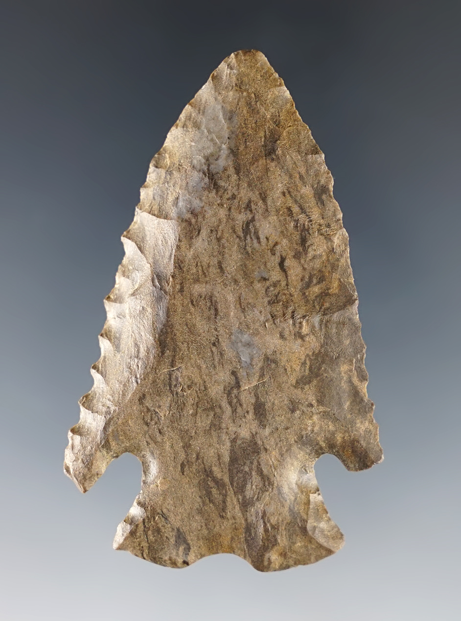 2 7/16" Notch-Base Dovetail that is beveled and has excellent grinding to the base. Kentucky.