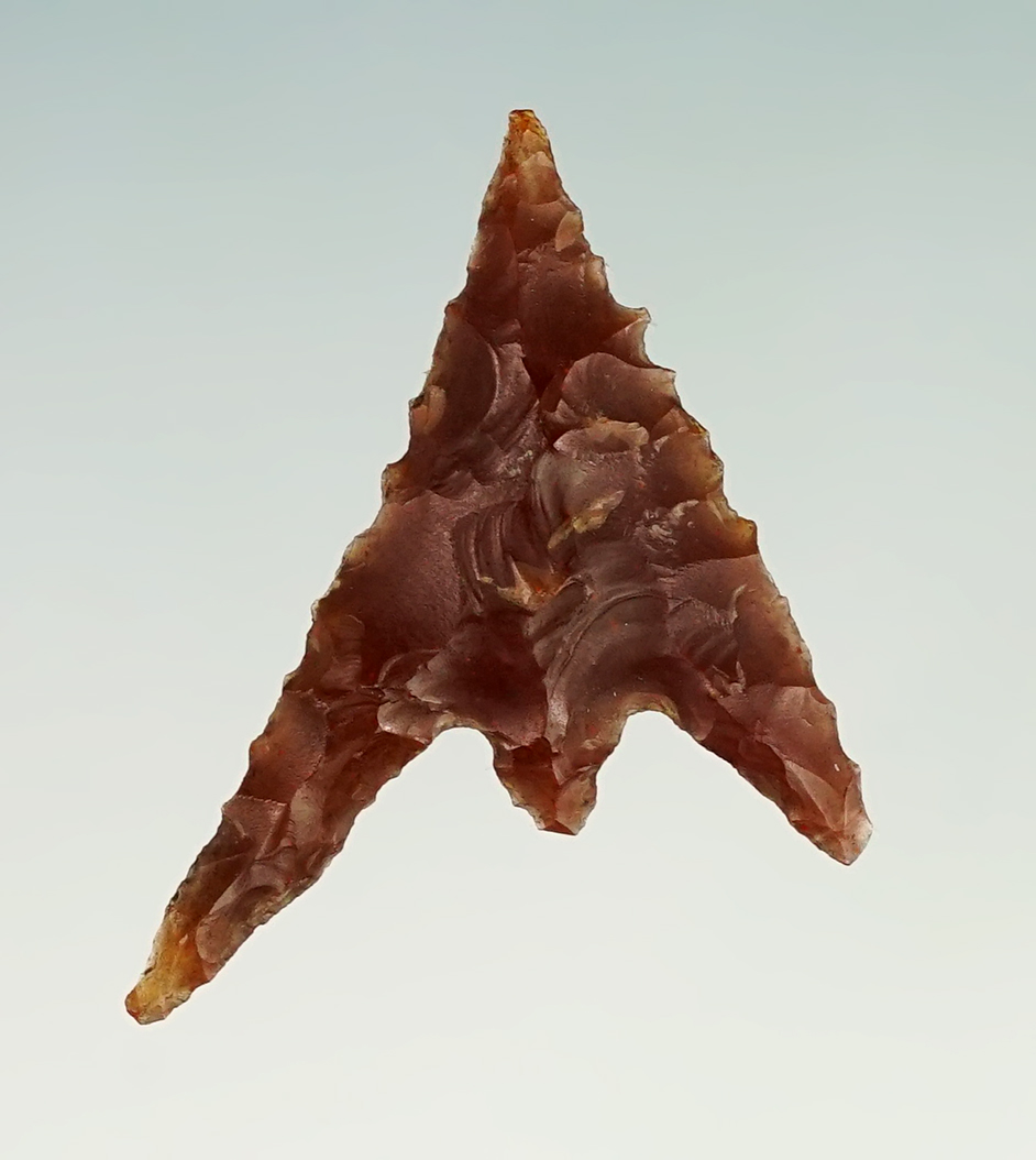 13/16" Gunther (Rogue River Variety) near Rogue River Drainage area of Oregon. Stermer COA. 