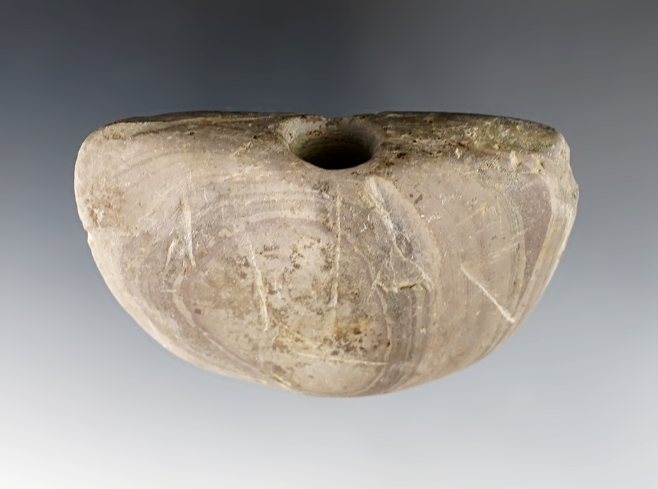 3 1/16" wide Wing Bannerstone found by Gary Goss close to Indian Lake, Logan Co., Ohio. 