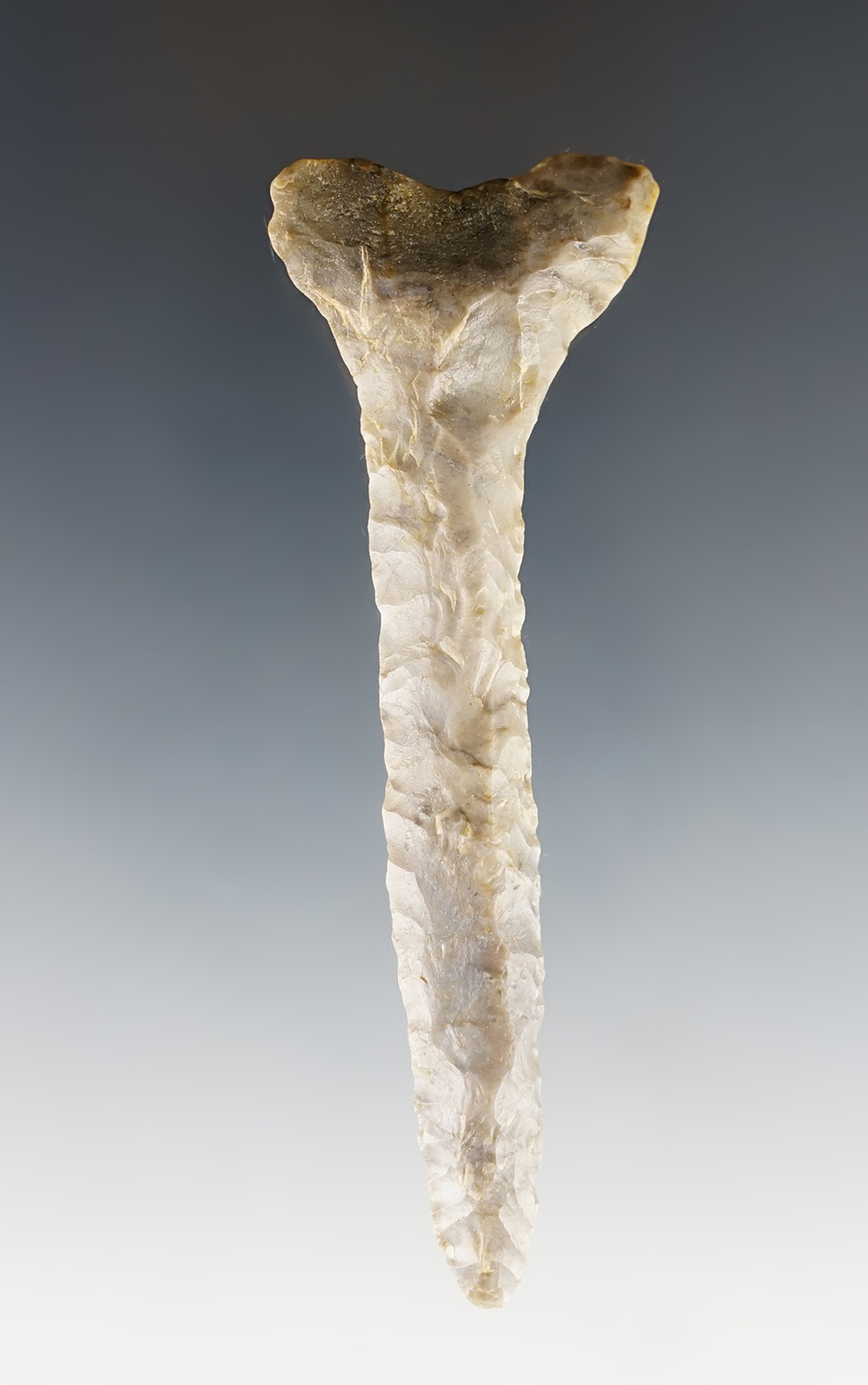 3 5/8" Coshocton Gray "T" Drill with nice form. Found in Richland Co., Ohio.