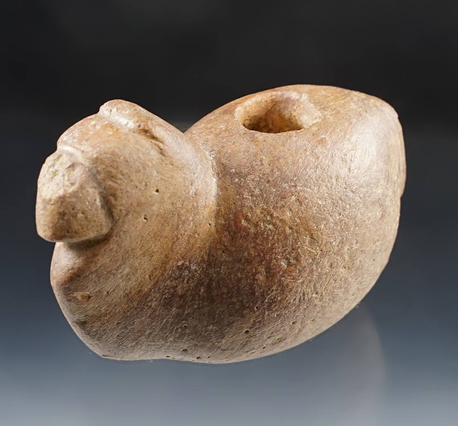 3 3/4" long by 2 7/8" tall alpaca Canopa recovered in Peru.