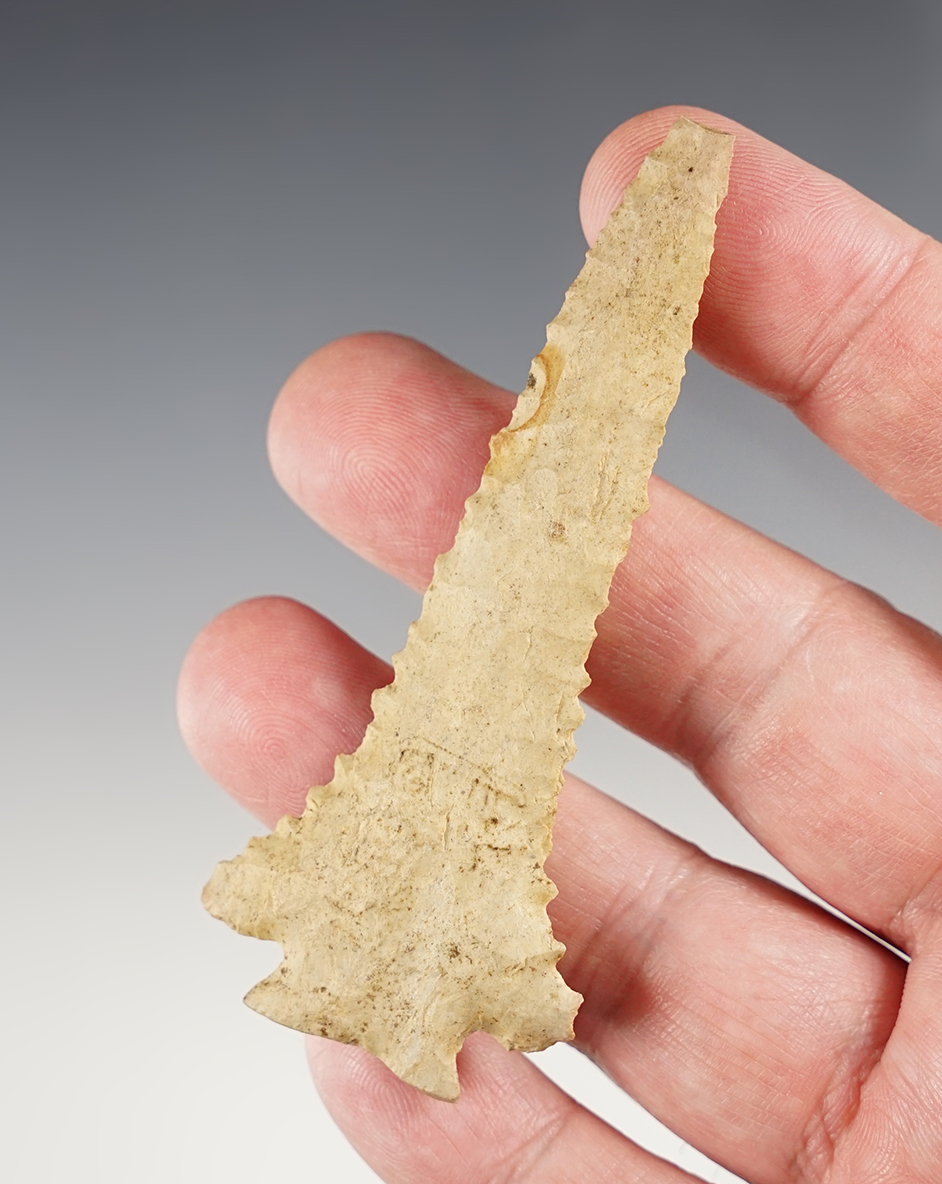 Superbly made 3 5/16" Kentucky/Tennessee area Decatur Fracture-Base with incredible serrations.