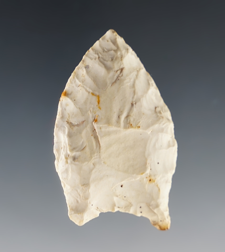 2" Paleo Quad with excellent mineral deposits on surface. Found by Larry Dyer in 1988 in Indiana.