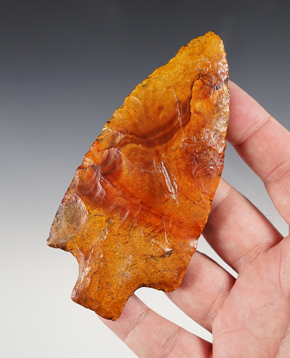 Stunning color on this 4 5/8" river polished Pickwick found close to the Flint River in Georgia. COA.