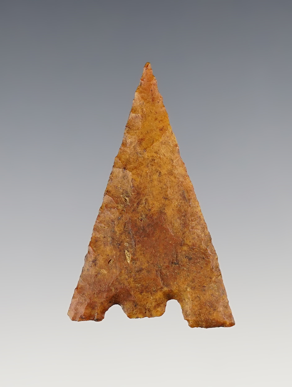 Colorful  1 7/8" Hernando found in Fanning Springs Co., Florida. Ex. Kevin Dowdy. Jackson COA.