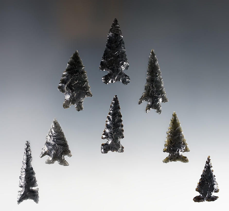 Set of 8 assorted Nevada points made from Obsidian. The largest is 1 3/4".