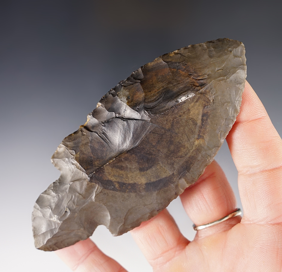 4 5/16" classic style Turkeytail found in Kentucky. Ex. Kenneth McNeal collection. 