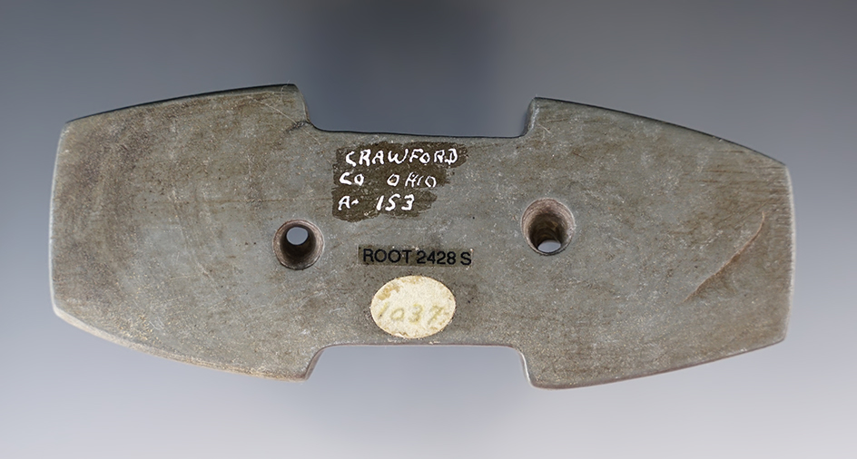 4 9/16" Adena Indented Gorget found by Gary Bisset in Crawford Co., Ohio. Pictured in 3 publications