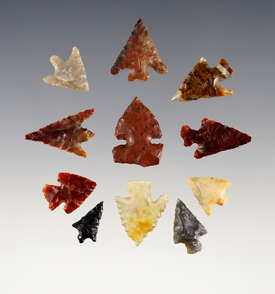 Group of 11 Columbia River Gem points found near the Columbia River. 