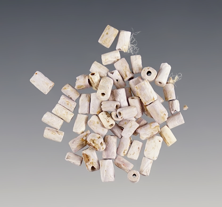 Large group of 54 purple and white Wampum Beads recovered at the Dann Site, New York.