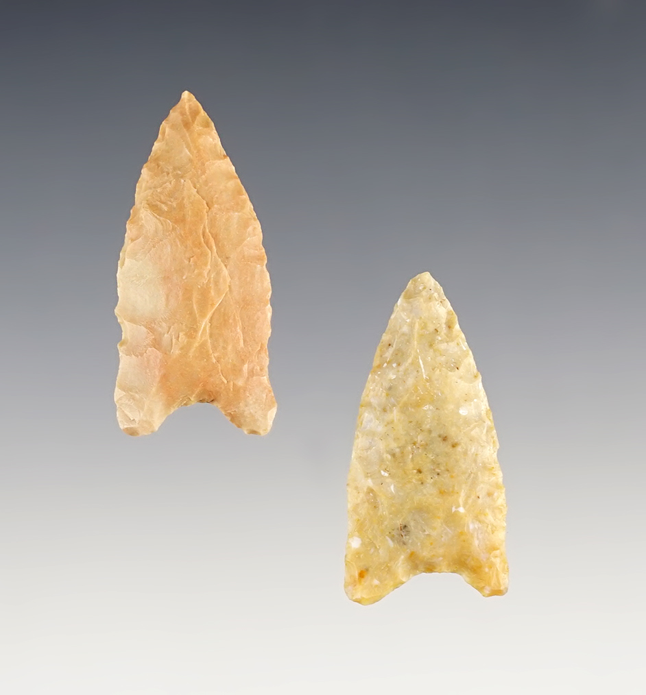 Pair of Golondrina points in nice condition found in the Texas area. Largest is 1 11/16".