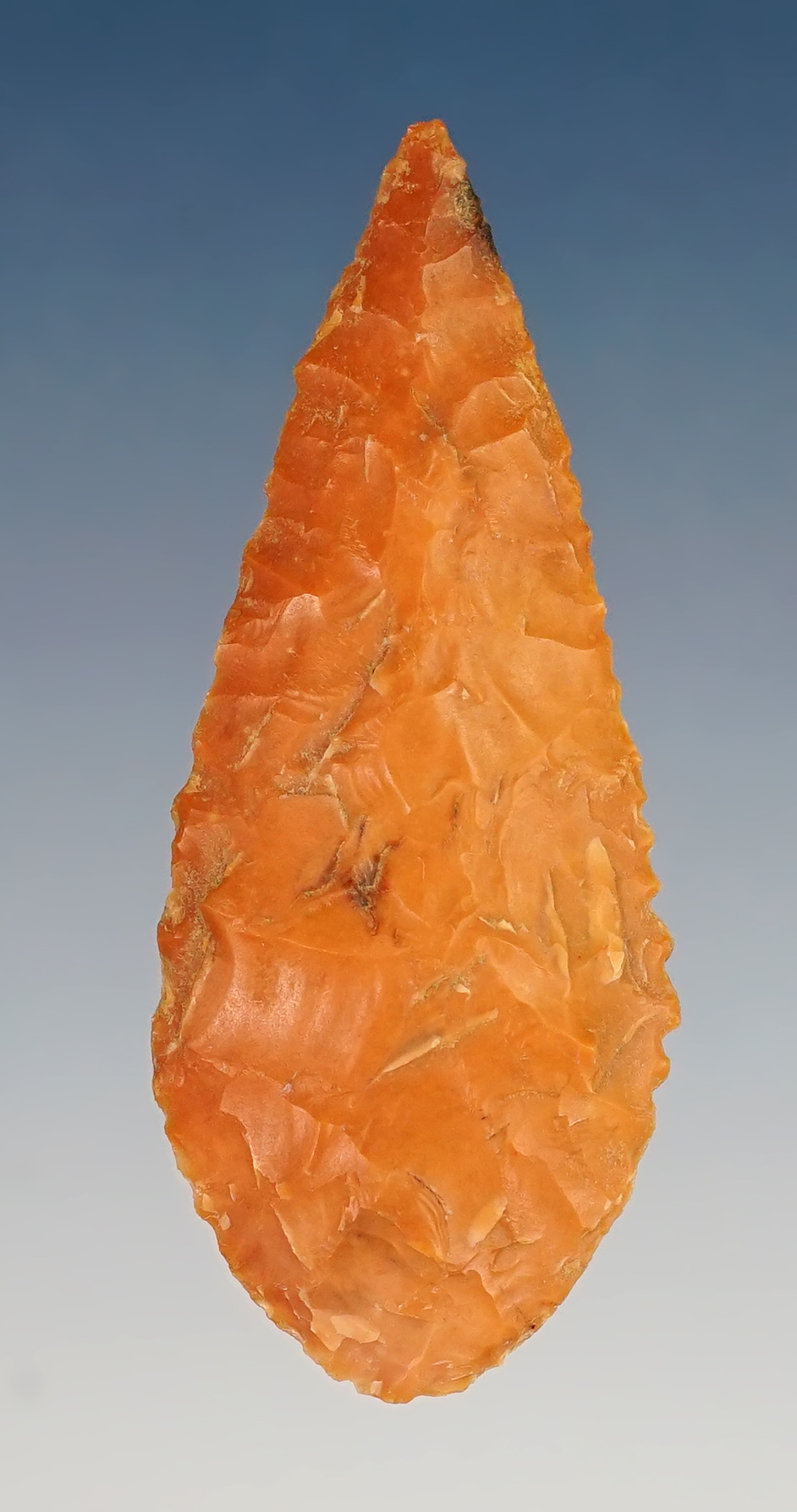 Excellent flaking on this 2" Nicely serated Leaf point, found near the Columbia River