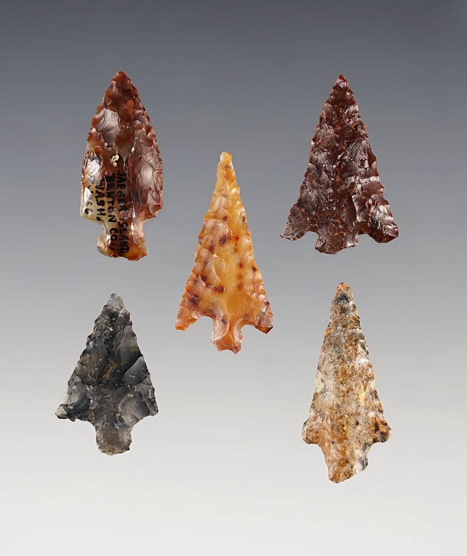 Set of 5 Columbia River Gem points. Largest is 1 1/4". Ex Karl Parchart, Steve Olenick.