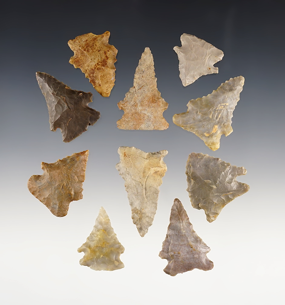 Set of 10 nice Pine Tree points found in Wabash Co., Indiana. The largest is 1 3/4".