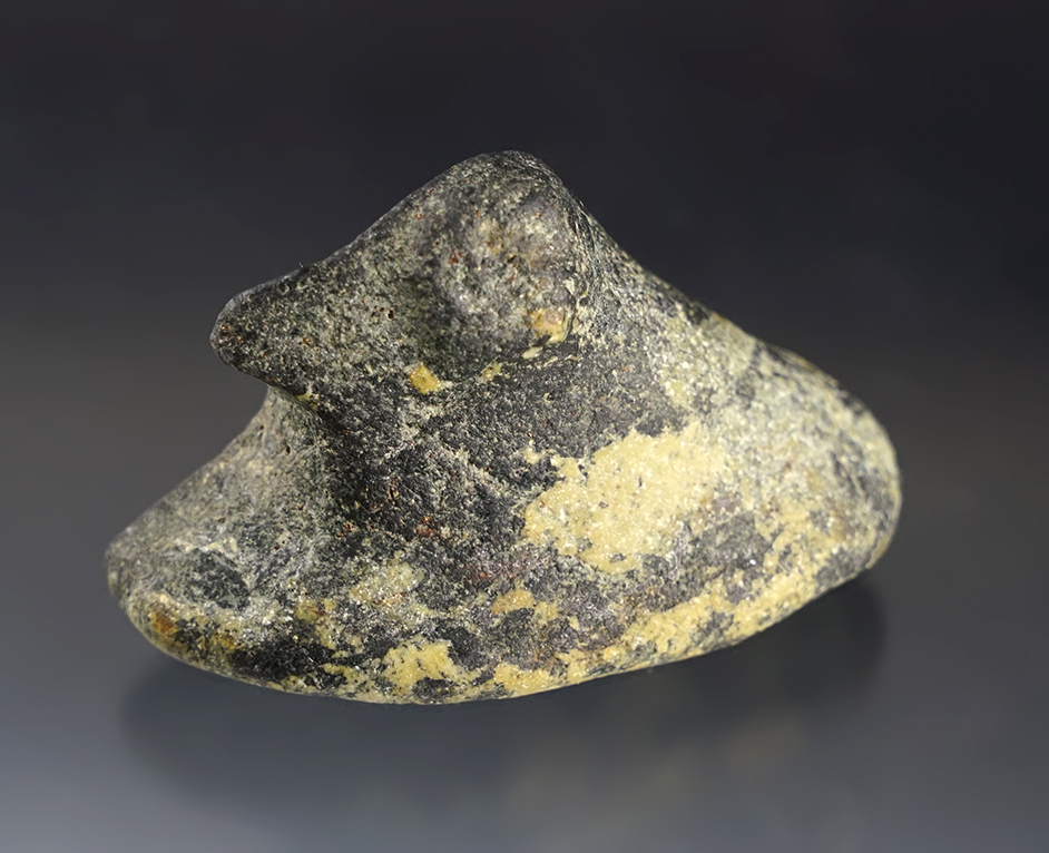 2 7/8" wide Bust Birdstone that was anciently damaged on one side but still displays well. 