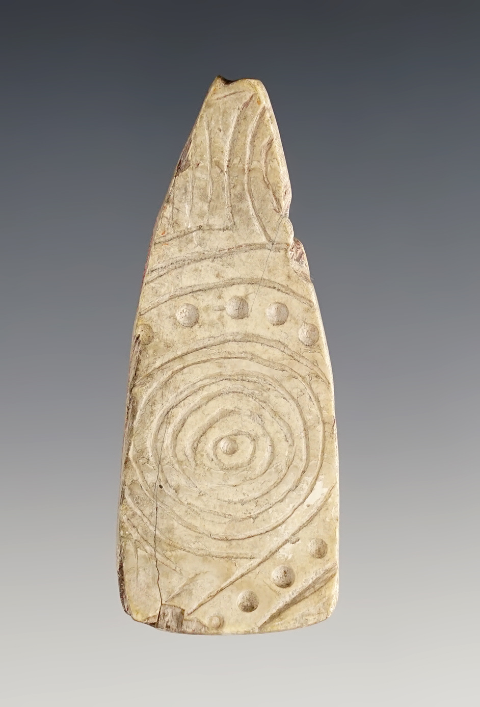 Heavily engraved 2 1/4'' Shell Ornament with punctate design.  Fox Field Site in Mason Co., KY