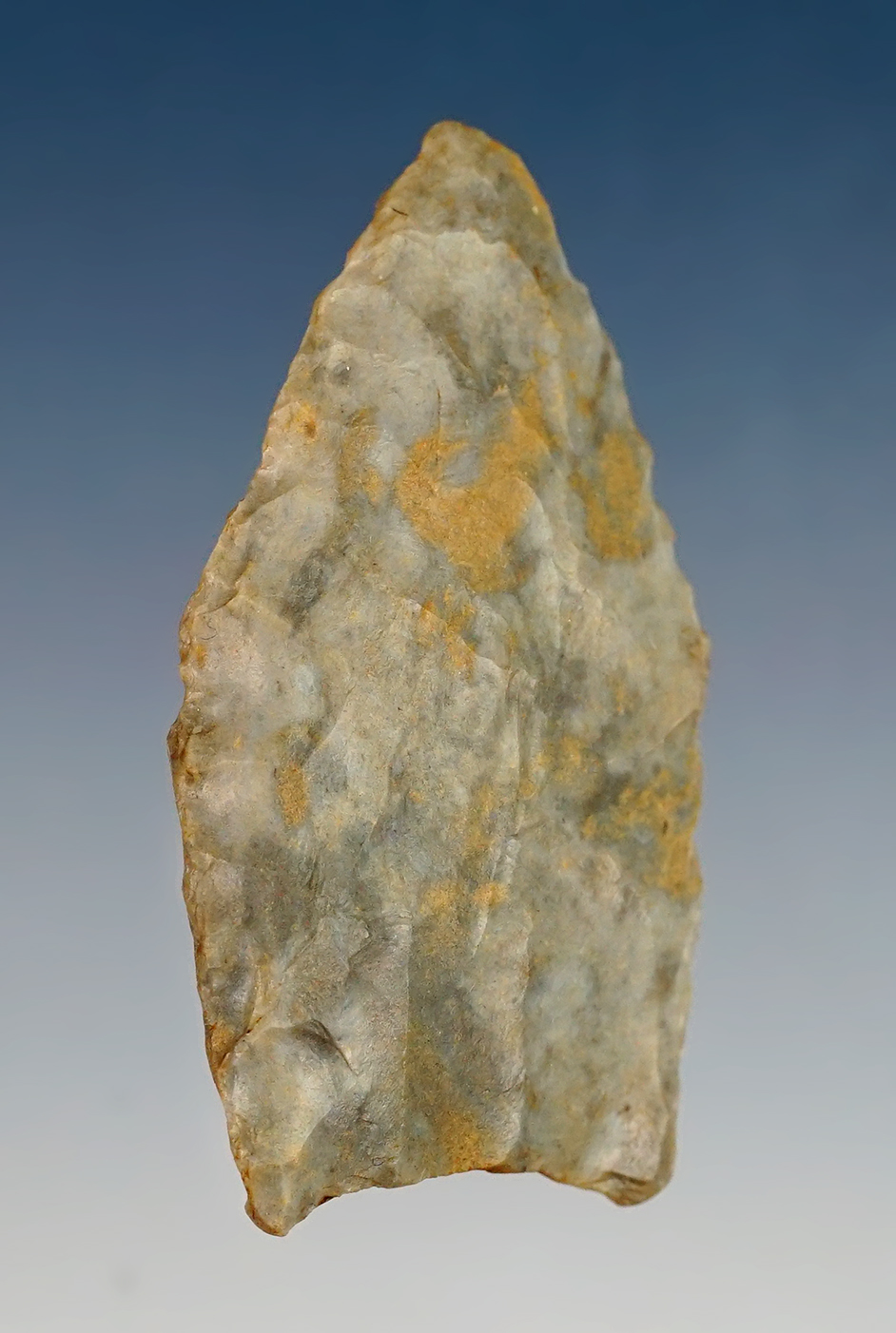 1 5/8" Paleo Clovis made from gray chert. Found in Colorado. Comes with a Davis COA (G-9). 