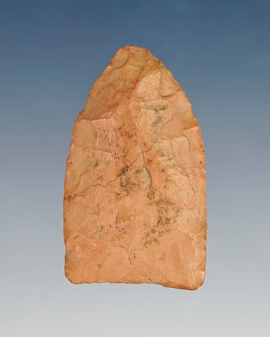 1 5/16" Paleo Midland made from pink chert. Found in Colorado by Louis Brunke. COA. 