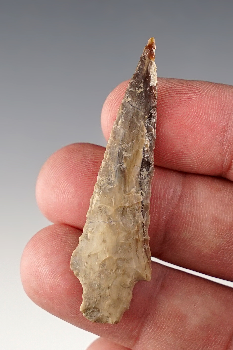 2 3/16" Gatecliff made from Petrified Wood. Found in the 1950's by Norma Berg