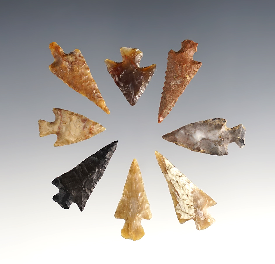Set of 8 nice Oregon Points made from various materials. Largest is 1 1/16".