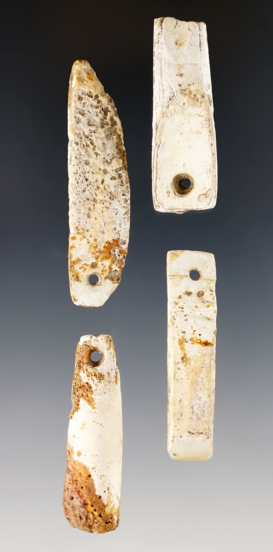 Set of 4 Drilled Ft. Ancient Shell Pendants recovered at the Fox Field Site, Mason Co., Kentucky. 