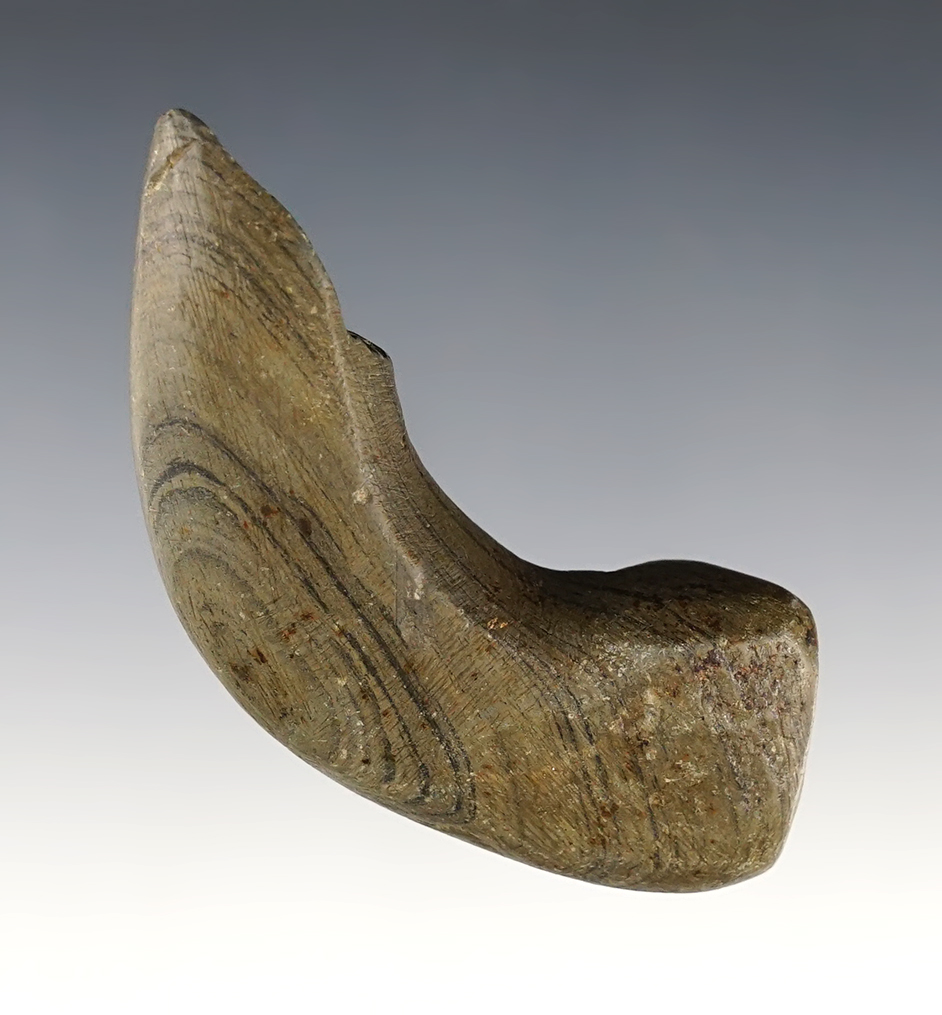 3 1/4" Birdstone head made from green and black Banded Slate. Found in Wood Co., Ohio. 