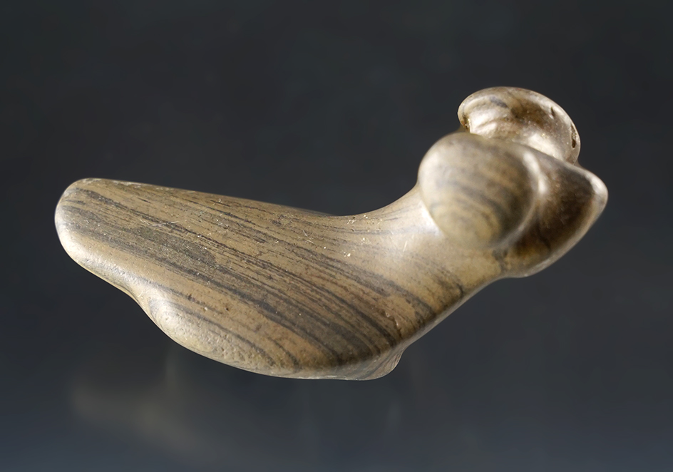 2 7/8" Glacial Kame Popeye Birdstone found in a gravel pit in Butler, Richland Co., Ohio. Pictured!