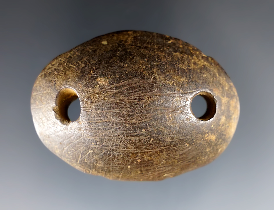 Miniature 2 1/4" Glacial Kame Humped Gorget made from Cannel Coal. Defiance Co., Ohio. Ex. Cull.