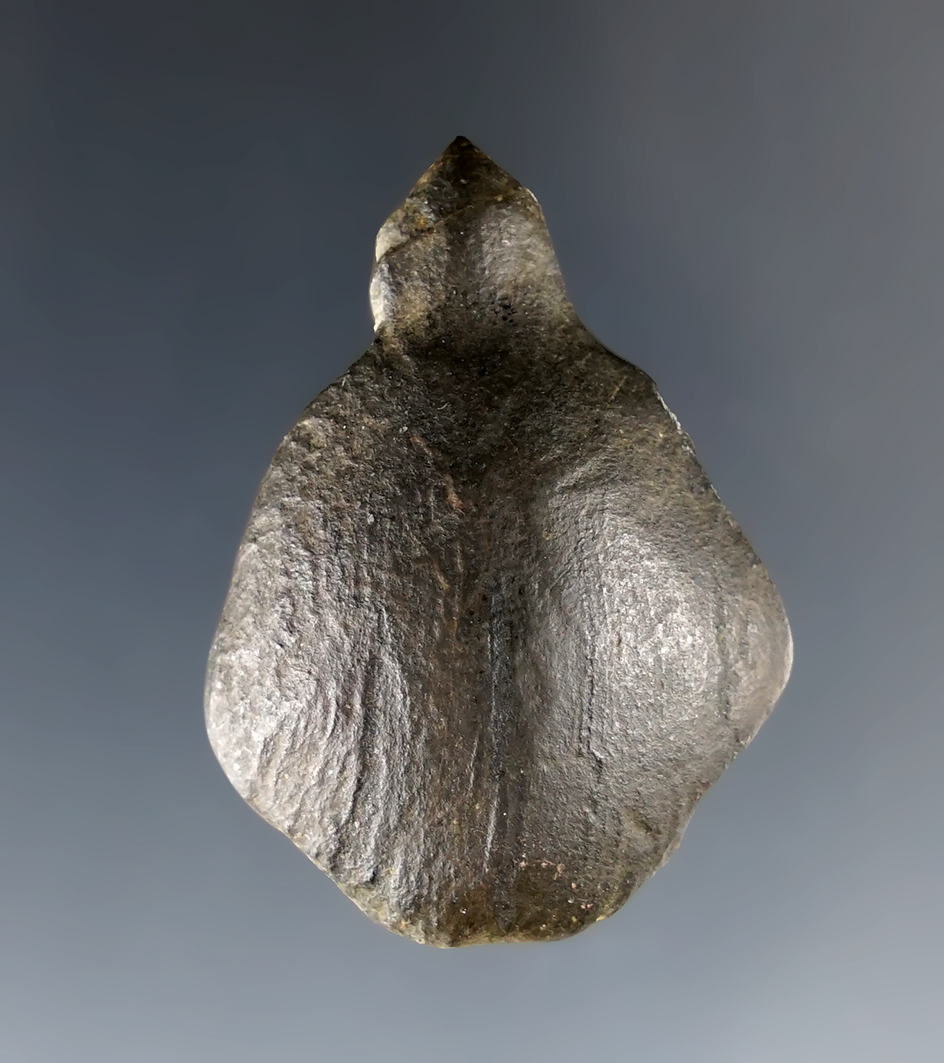 Miniature 1 1/2" x 1 1/8" Turtle Effigy made from black Slate. Found in Auglaize Co., Ohio. 