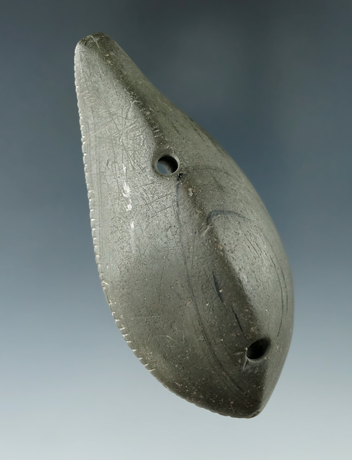Unique and rare! 3 1/4" Glacial Kame Tallied Tadpole Effigy Gorget - highly tallied. Sandusky Co., O