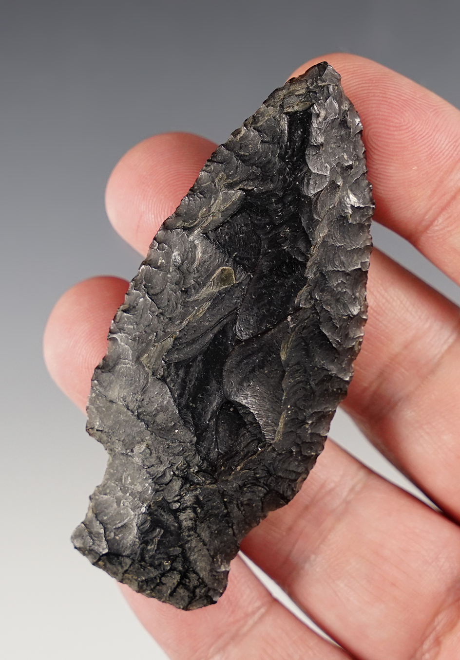 3" Chilcotin Plateau found near Tule Lake, Siskiyou Co., California - Monroe Family. Stermer COA.