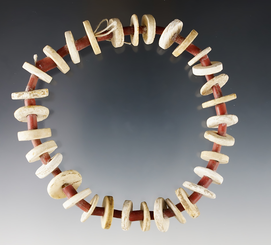 12" Necklace consisting of 32 Shell Discs & Red Barrel Beads. Power House Site in Lima, New York.