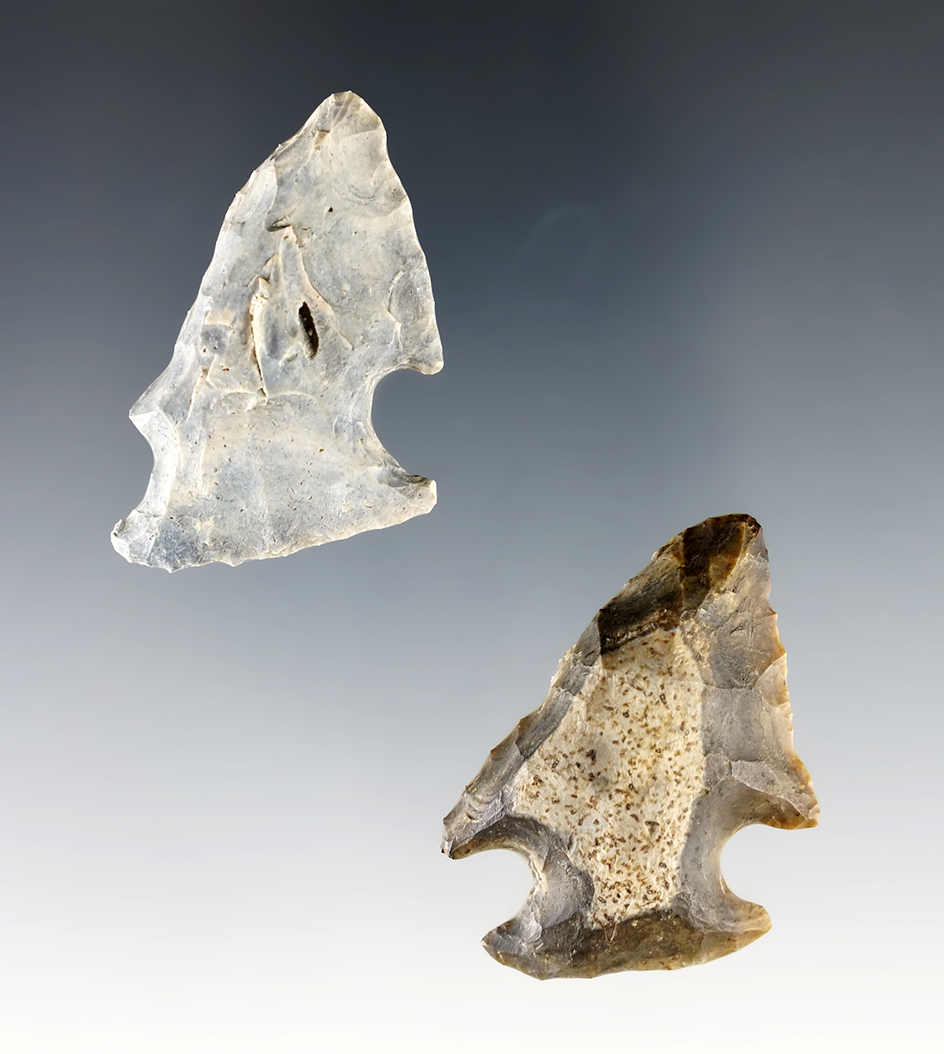 Pair of nice Edgefield Scrapers found in Alachua Co., Florida. The largest is 1 1/2".